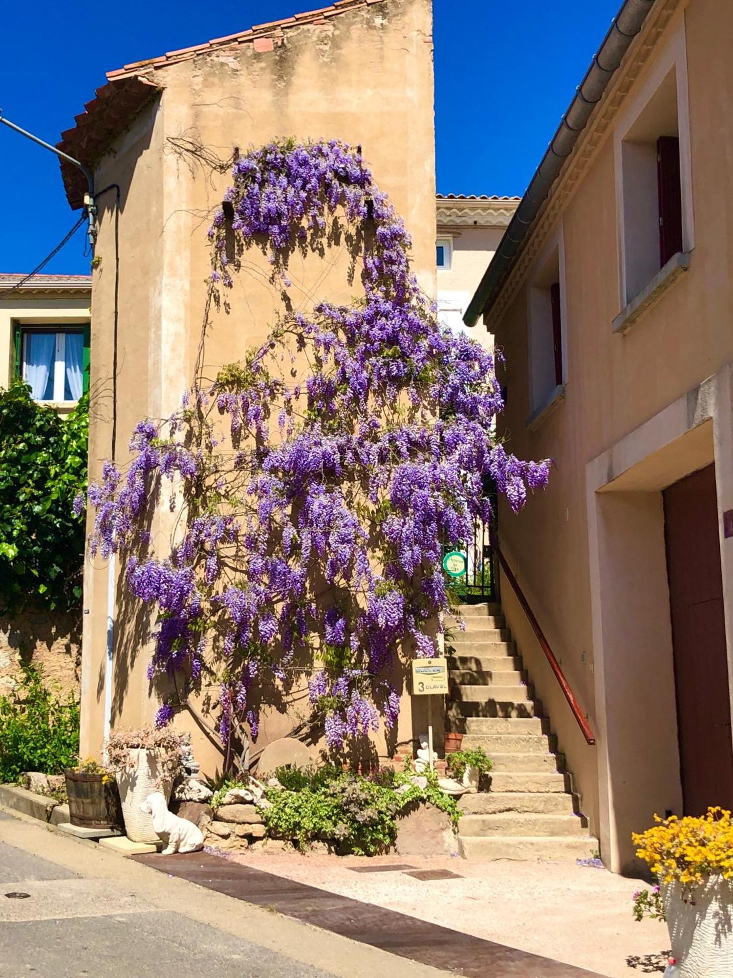 Maison Du Midi, 2 Gites De Charme Ginestas Zewnętrze zdjęcie